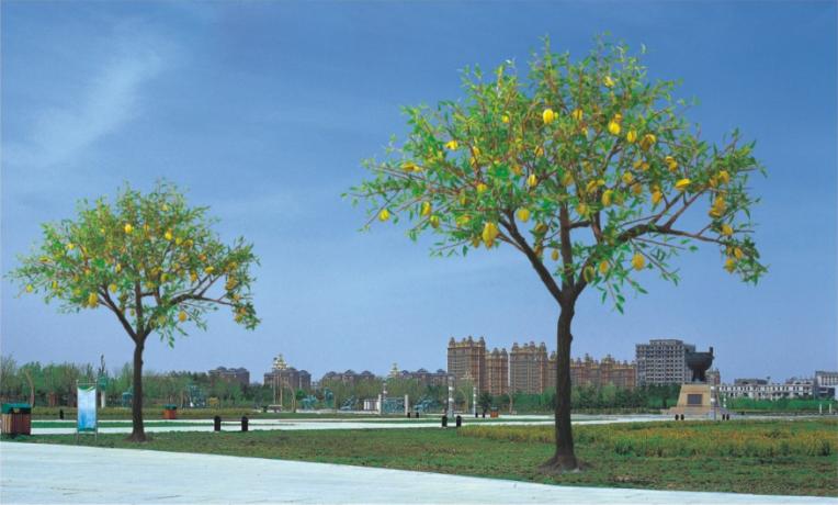 景觀(guān)樹(shù)燈 景觀(guān)樹(shù)燈