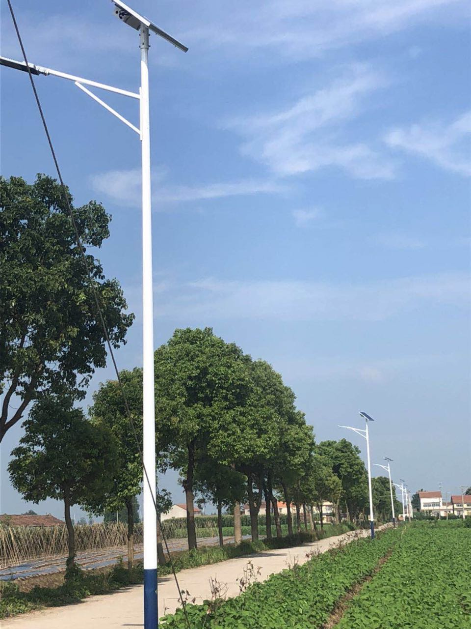 農村太陽(yáng)能路燈