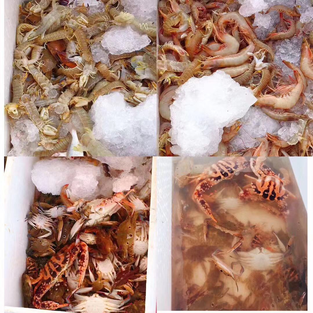 4bcd5133eec7009eee7e3b78cdf0aa2.jpg 4bcd5133eec7009eee7e3b78cdf0aa2.jpg