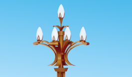 新聞：城市為何更愛(ài)玉蘭燈？