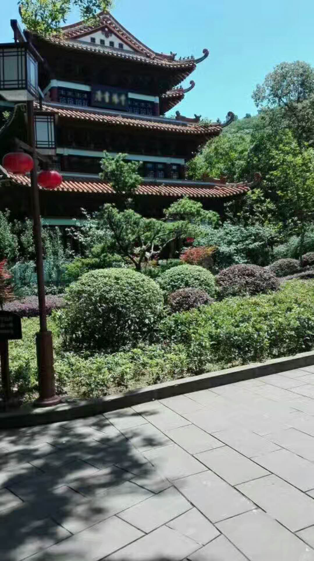 廣東揭陽(yáng)50套led庭院燈如期安裝完成！